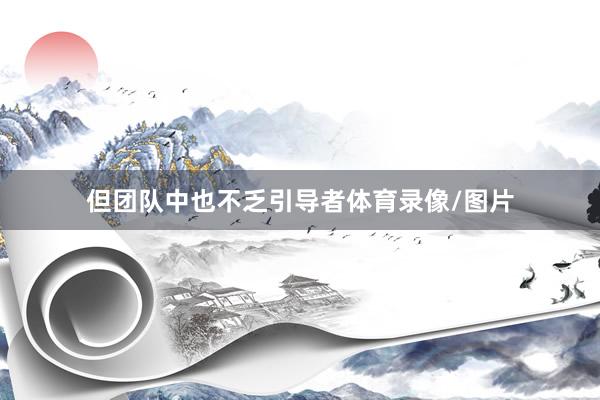 但团队中也不乏引导者体育录像/图片