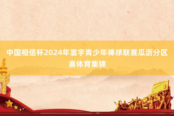 中国相信杯2024年寰宇青少年棒球联赛瓜沥分区赛体育集锦