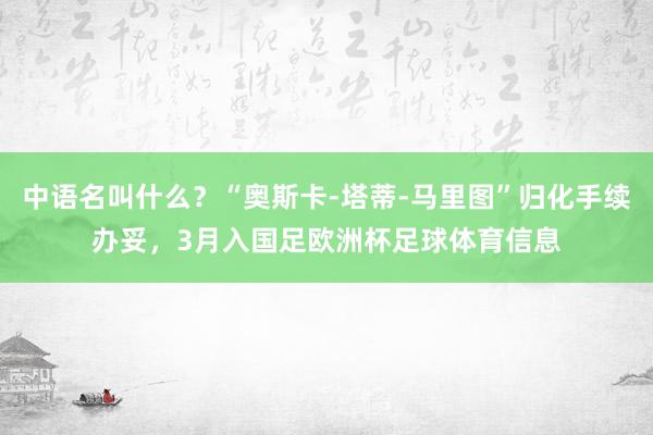 中语名叫什么？“奥斯卡-塔蒂-马里图”归化手续办妥，3月入国足欧洲杯足球体育信息