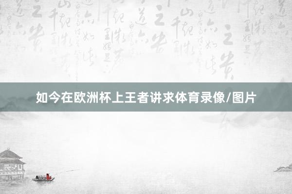 如今在欧洲杯上王者讲求体育录像/图片