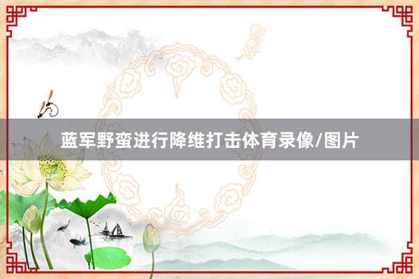 蓝军野蛮进行降维打击体育录像/图片
