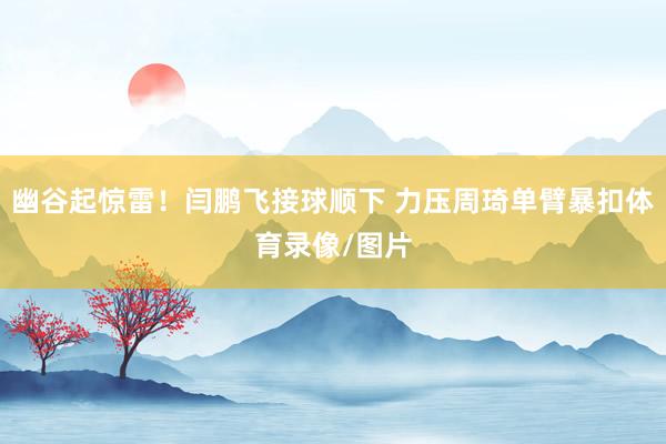 幽谷起惊雷！闫鹏飞接球顺下 力压周琦单臂暴扣体育录像/图片