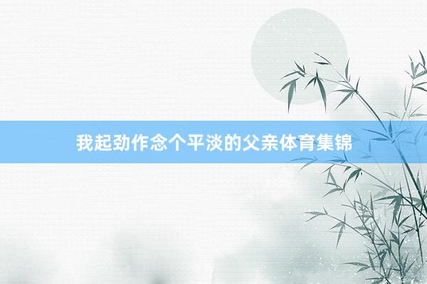 我起劲作念个平淡的父亲体育集锦