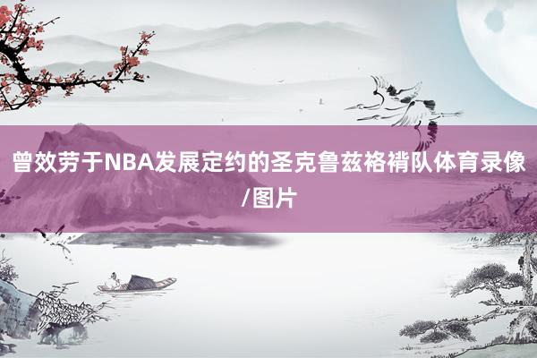 曾效劳于NBA发展定约的圣克鲁兹袼褙队体育录像/图片