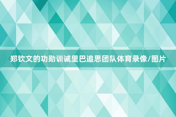 郑钦文的功勋训诫里巴追思团队体育录像/图片